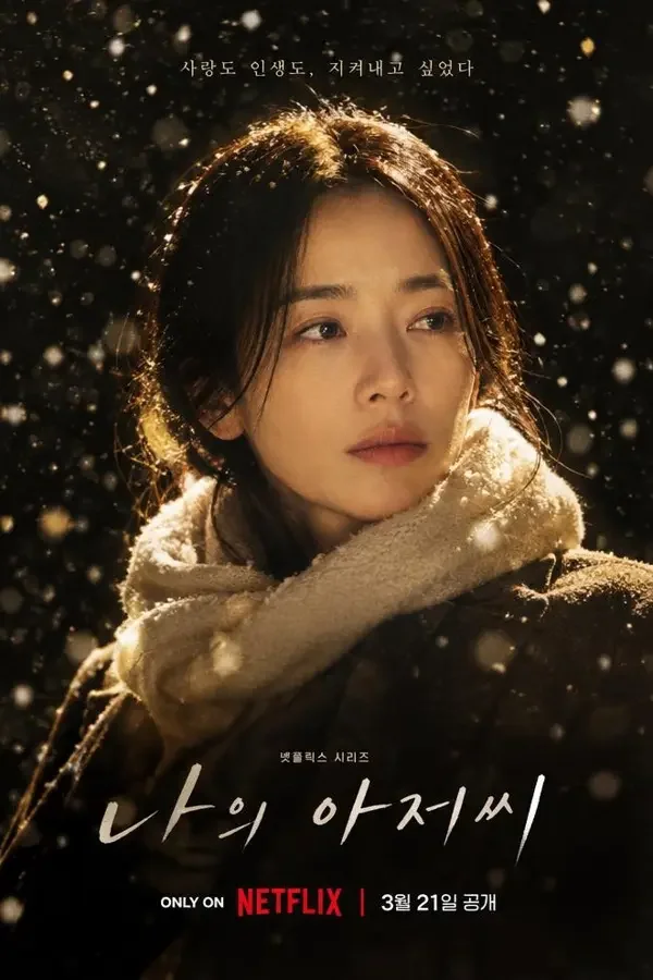 《雪落长宁》海报